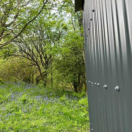 Cornwall Woodland Shepherd'S Hut - Dennis Hut Bodmin Buitenkant foto