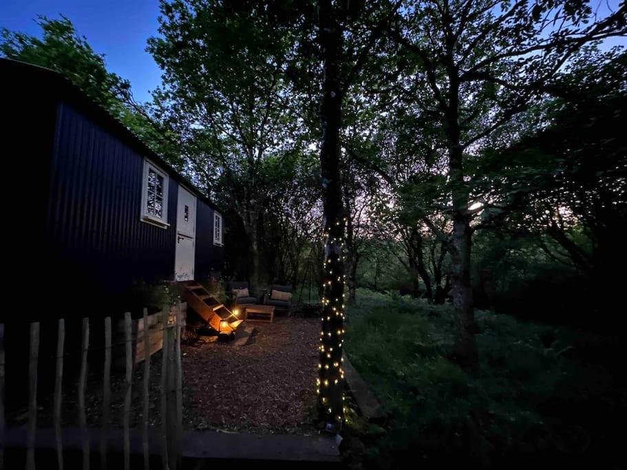 Cornwall Woodland Shepherd'S Hut - Dennis Hut Bodmin Buitenkant foto