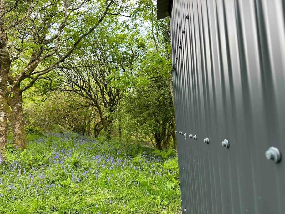 Cornwall Woodland Shepherd'S Hut - Dennis Hut Bodmin Buitenkant foto