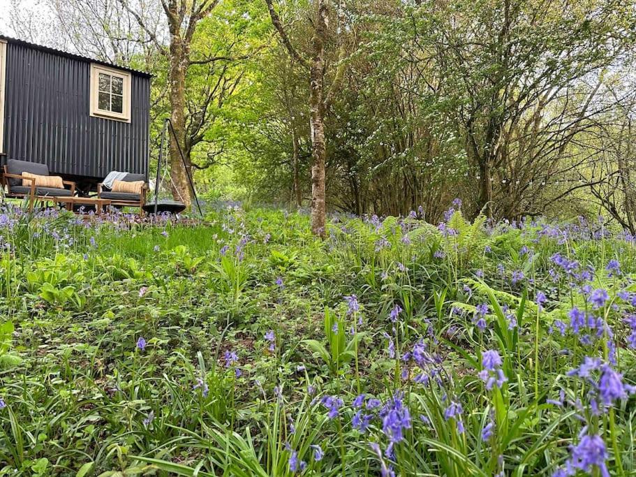 Cornwall Woodland Shepherd'S Hut - Dennis Hut Bodmin Buitenkant foto
