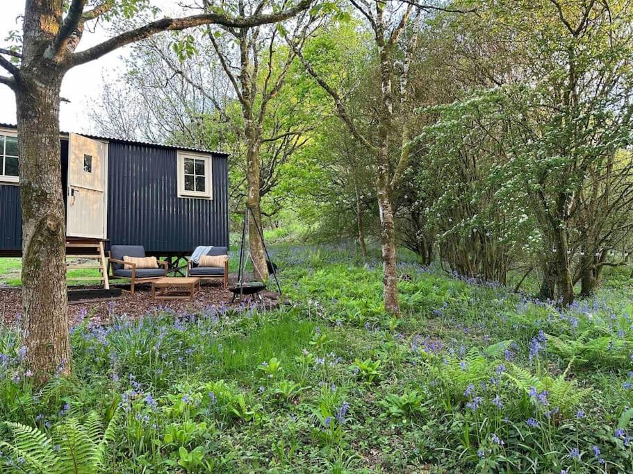 Cornwall Woodland Shepherd'S Hut - Dennis Hut Bodmin Buitenkant foto