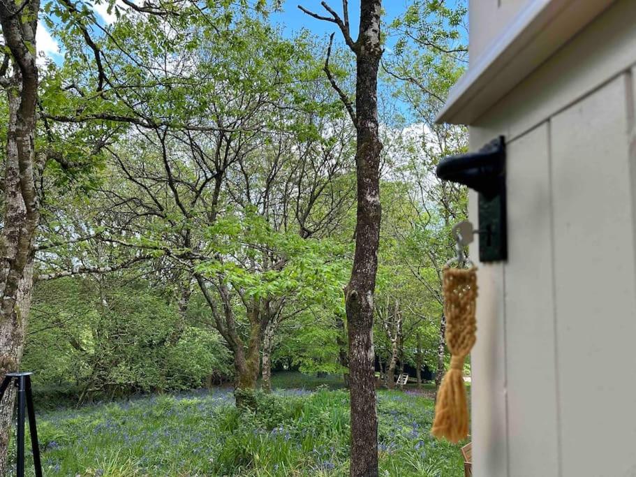 Cornwall Woodland Shepherd'S Hut - Dennis Hut Bodmin Buitenkant foto