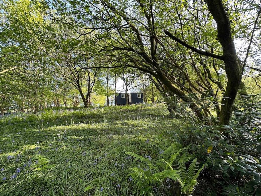Cornwall Woodland Shepherd'S Hut - Dennis Hut Bodmin Buitenkant foto